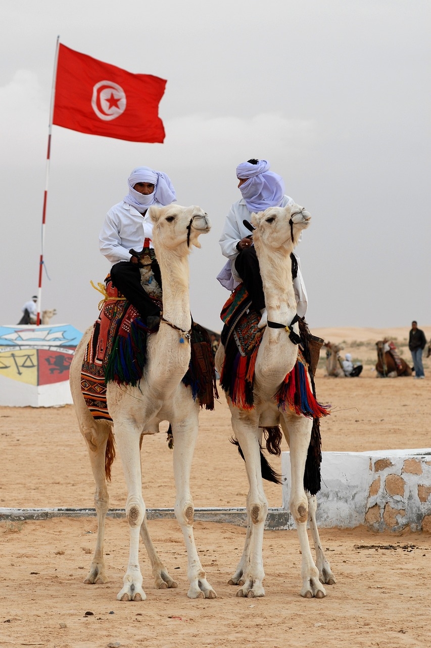 tunisia-733597_1280